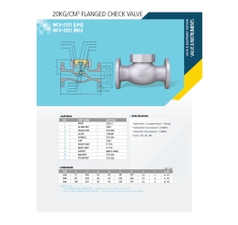 VAN MỘT CHIỀU (Flanged Check Valve)