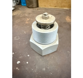 VAN MỘT CHIỀU REN (Threaded Check Valve)