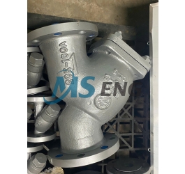 LỌC Y (Flanged Strainer)
