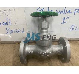 VAN CẦU BÍCH (Flanged Globe Valve)