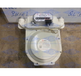 ĐỒNG HỒ ĐO LƯU LƯỢNG DAESUNG (Gas Meter Daesung)