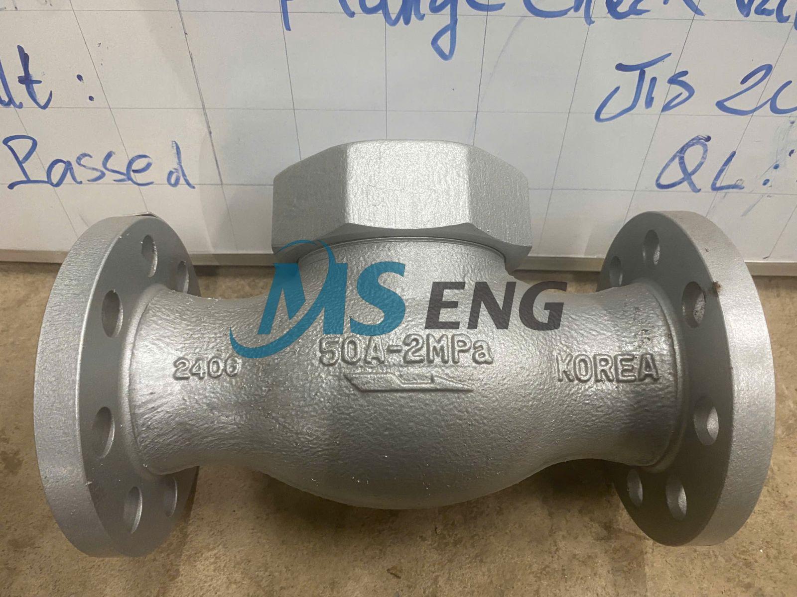 flanged check valve