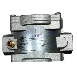 LỌC GAS MADAS FM (Gas filter MADAS FM)