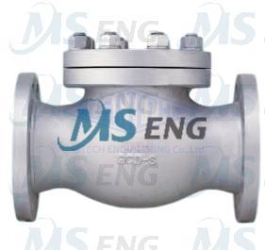 VAN MỘT CHIỀU (Flanged Check Valve)